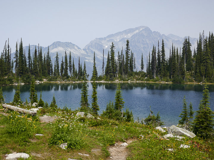 photo of Mount Revelstoke, British Columbia, Canada