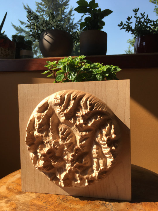 detail of three-dimensional wood-carved relief map of the Bugaboos in the Purcell Mountains, British Columbia, Canada