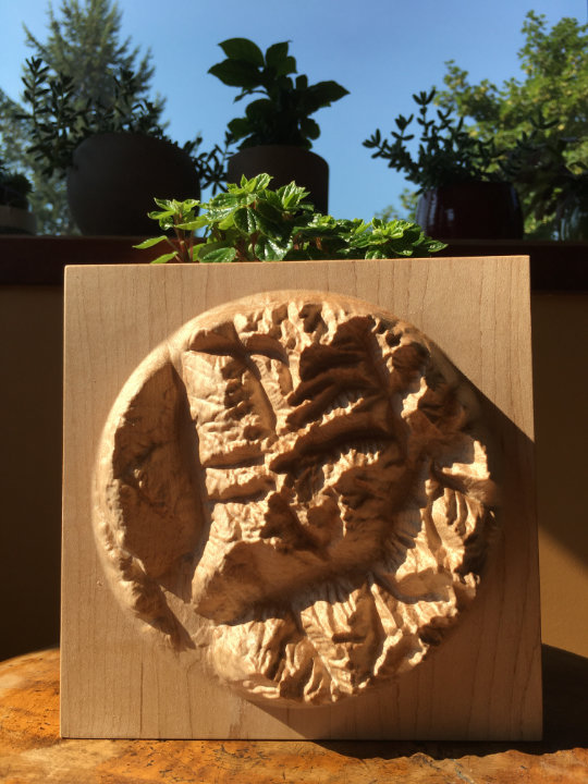 detail of three-dimensional wood-carved relief map of the mountains around Mount Revelstoke in the Selkirk Mountains, British Columbia, Canada