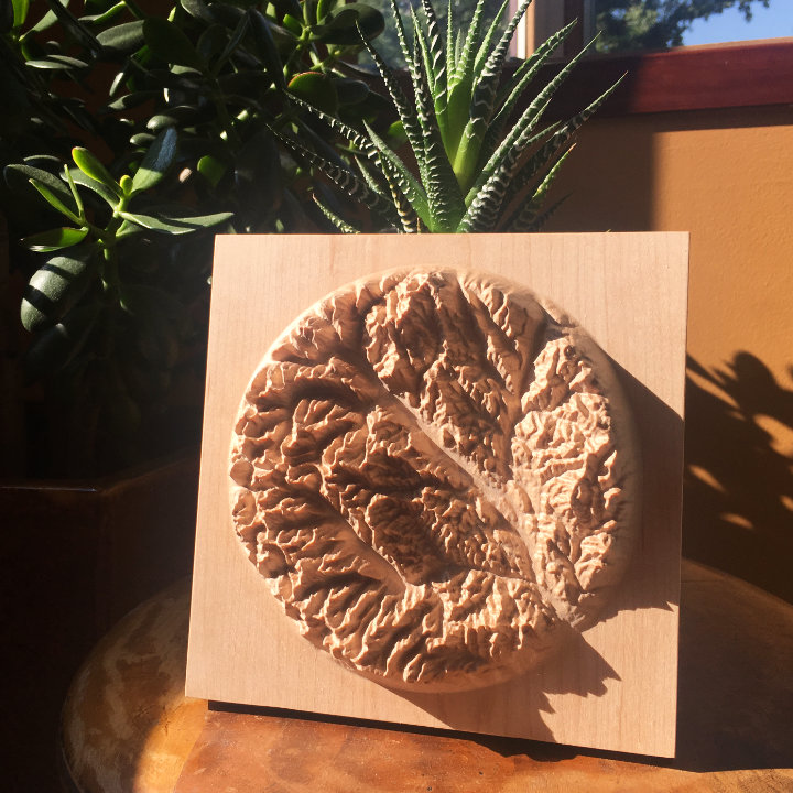 three-dimensional wood-carved relief map of a circle of mountains raised from a square plaque